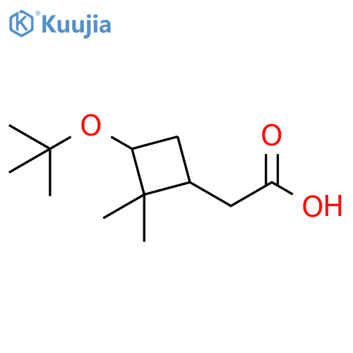 2-3-(tert-butoxy)-2,2-dimethylcyclobutylacetic acid, Mixture of diastereomers structure