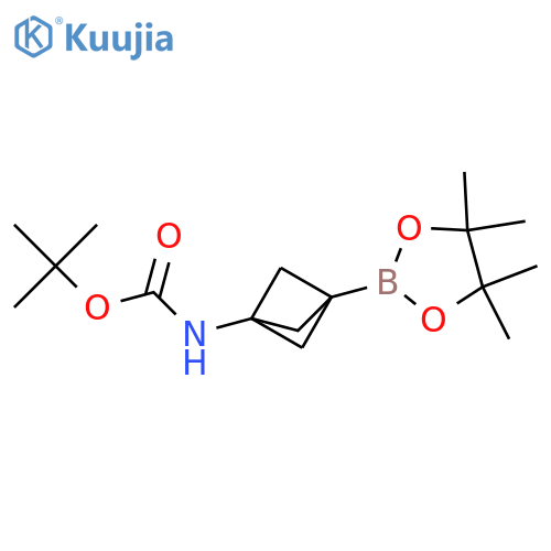 tert-butyl N-(3-(4,4,5,5-tetramethyl-1,3,2-dioxaborolan-2-yl)bicyclo[1.1.1]pentan-1-yl)carbamate structure