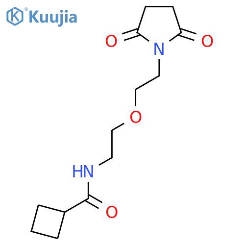 N-{2-2-(2,5-dioxopyrrolidin-1-yl)ethoxyethyl}cyclobutanecarboxamide structure