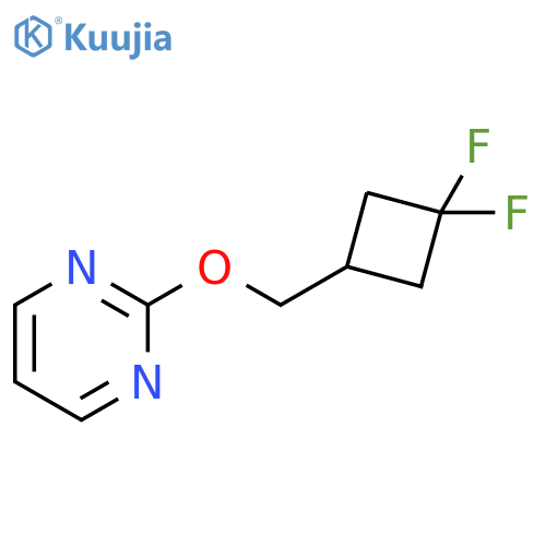 2-(3,3-difluorocyclobutyl)methoxypyrimidine structure