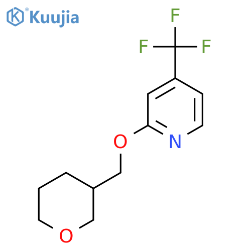 2-[(Oxan-3-yl)methoxy]-4-(trifluoromethyl)pyridine structure