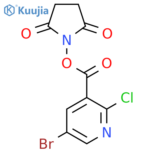 5-Bromo-2-chloronicotinic acid 2,5-dioxopyrrolidin-1-yl ester structure