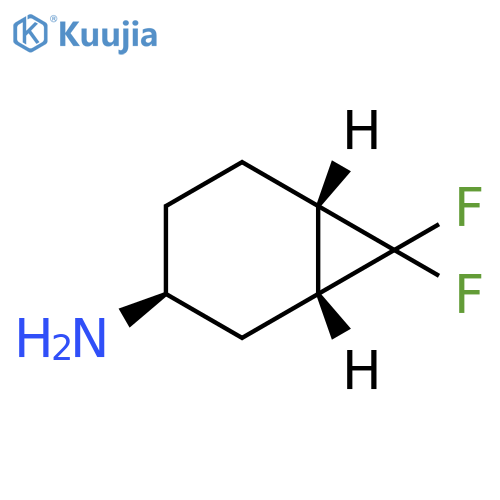 rel-(1S,3R,6R)-7,7-difluoronorcaran-3-amine structure