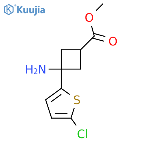 methyl 3-amino-3-(5-chlorothiophen-2-yl)cyclobutane-1-carboxylate structure