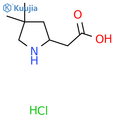 2-(4,4-dimethylpyrrolidin-2-yl)acetic acid hydrochloride structure