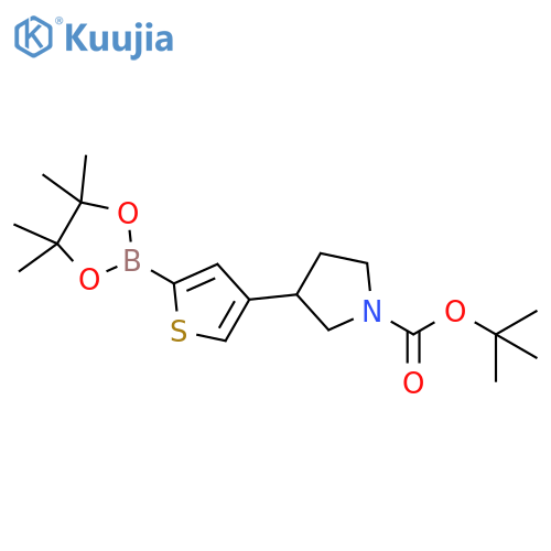 tert-butyl 3-(5-(4,4,5,5-tetramethyl-1,3,2-dioxaborolan-2-yl)thiophen-3-yl)pyrrolidine-1-carboxylate structure