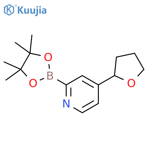4-(tetrahydrofuran-2-yl)-2-(4,4,5,5-tetramethyl-1,3,2-dioxaborolan-2-yl)pyridine structure
