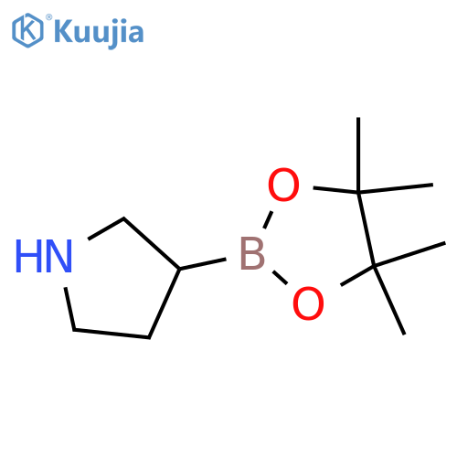 3-(4,4,5,5-tetramethyl-1,3,2-dioxaborolan-2-yl)pyrrolidine structure