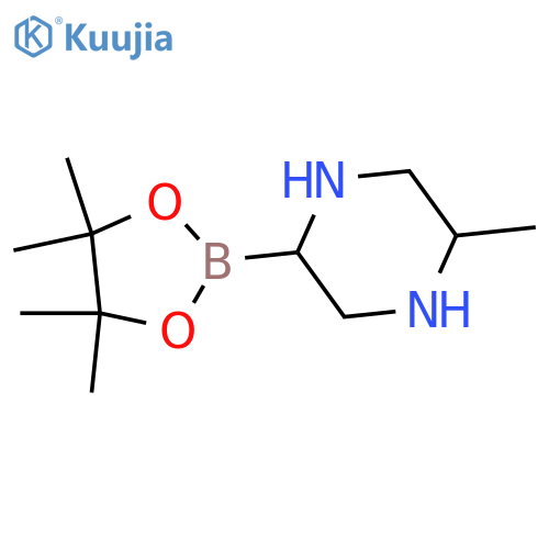 5-Methylpiperazine-2-boronic acid pinacol ester structure