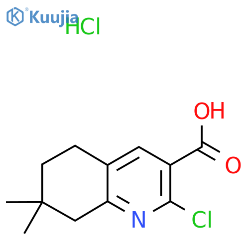 2-chloro-7,7-dimethyl-5,6,7,8-tetrahydroquinoline-3-carboxylic acid hydrochloride structure