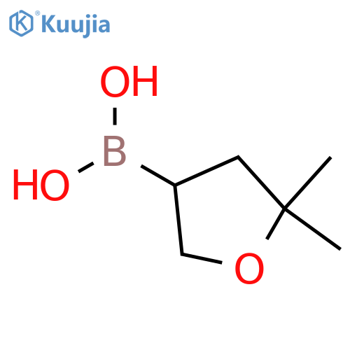 5,5-Dimethyltetrahydrofuran-3-boronic acid structure