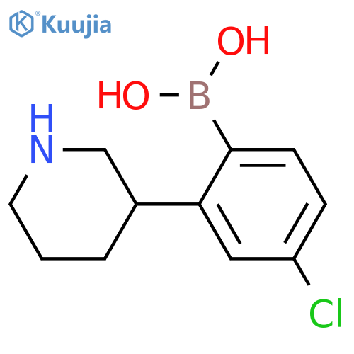 2-(Piperidin-3-yl)-4-chlorophenylboronic acid structure