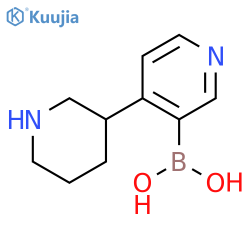 4-(Piperidin-3-yl)pyridine-3-boronic acid structure