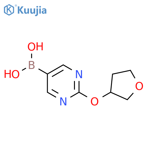 2-(Tetrahydro-furan-3-yloxy)pyrimidine-5-boronic acid structure
