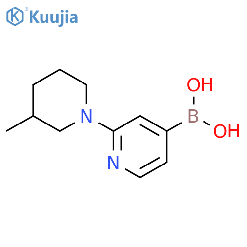 2-(3-Methylpiperidin-1-yl)pyridine-4-boronic acid structure