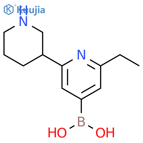 2-Ethyl-6-(piperidin-3-yl)pyridine-4-boronic acid structure