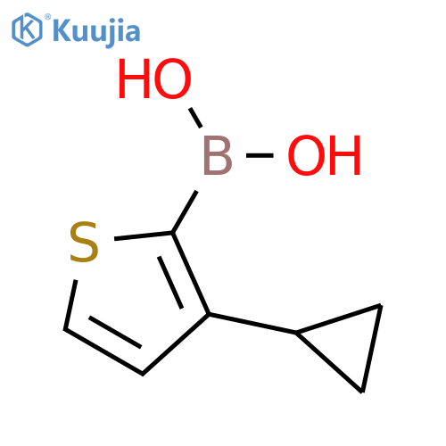 (3-cyclopropylthiophen-2-yl)boronic acid structure