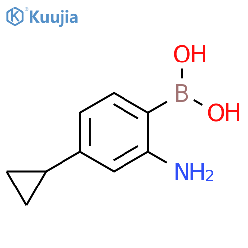 (2-amino-4-cyclopropylphenyl)boronic acid structure