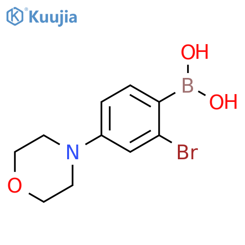 2-Bromo-4-(morpholino)phenylboronic acid structure