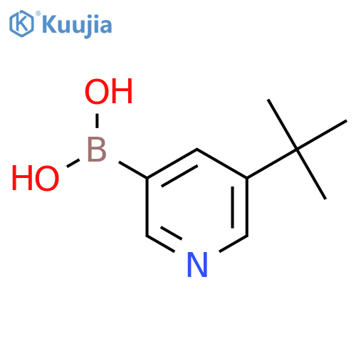 5-(TERT-BUTYL)PYRIDINE-3-BORONIC ACID structure