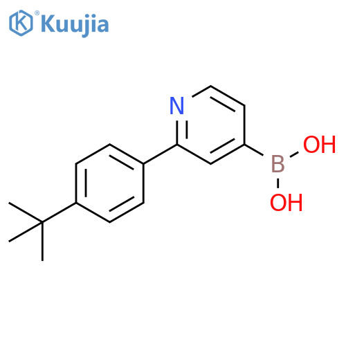 2-(4-tert-Butylphenyl)pyridine-4-boronic acid structure