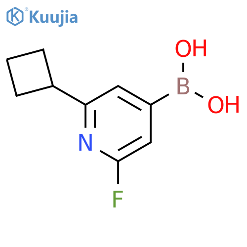 2-Fluoro-6-(cyclobutyl)pyridine-4-boronic acid structure