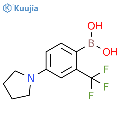 2-Trifluoromethyl-4-(pyrrolidino)phenylboronic acid structure