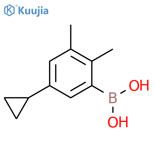 2,3-Dimethyl-5-cyclopropylphenylboronic acid structure
