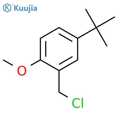 4-tert-Butyl-2-(chloromethyl)-1-methoxybenzene structure