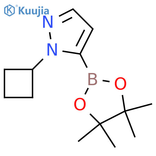 1-cyclobutyl-5-(tetramethyl-1,3,2-dioxaborolan-2-yl)-1H-pyrazole structure