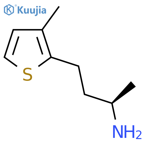 (2R)-4-(3-methylthiophen-2-yl)butan-2-amine structure
