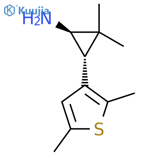 rac-(1R,3R)-3-(2,5-dimethylthiophen-3-yl)-2,2-dimethylcyclopropan-1-amine structure