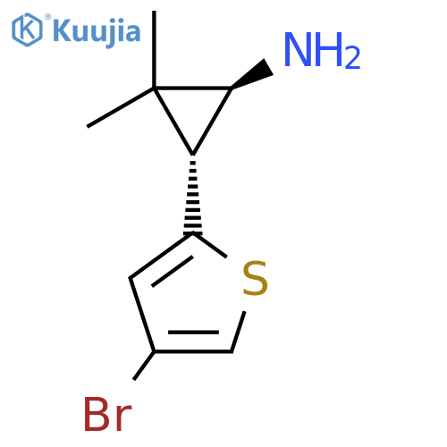 rac-(1R,3S)-3-(4-bromothiophen-2-yl)-2,2-dimethylcyclopropan-1-amine structure