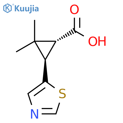 rac-(1R,3R)-2,2-dimethyl-3-(1,3-thiazol-5-yl)cyclopropane-1-carboxylic acid structure