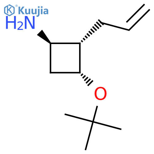 rac-(1R,2S,3R)-3-(tert-butoxy)-2-(prop-2-en-1-yl)cyclobutan-1-amine structure