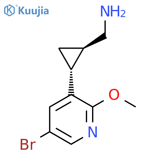 rac-(1R,2R)-2-(5-bromo-2-methoxypyridin-3-yl)cyclopropylmethanamine structure