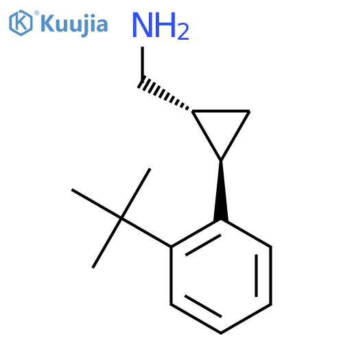 rac-(1R,2R)-2-(2-tert-butylphenyl)cyclopropylmethanamine structure