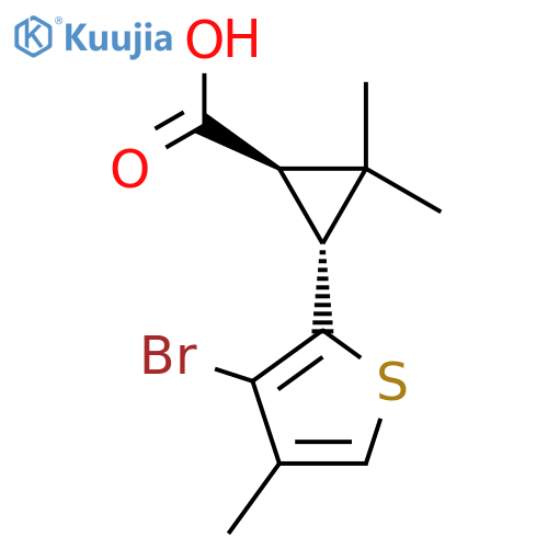 rac-(1R,3R)-3-(3-bromo-4-methylthiophen-2-yl)-2,2-dimethylcyclopropane-1-carboxylic acid structure