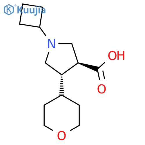 1-cyclobutyl-4-(oxan-4-yl)pyrrolidine-3-carboxylic acid structure