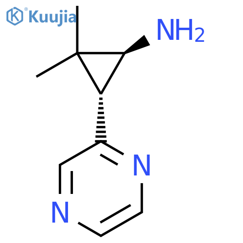 rac-(1R,3S)-2,2-dimethyl-3-(pyrazin-2-yl)cyclopropan-1-amine structure