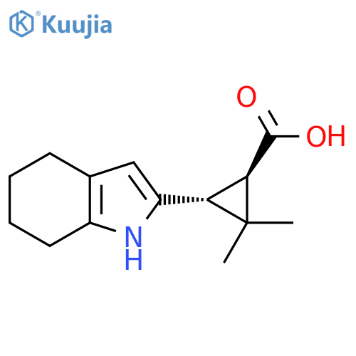 rac-(1R,3R)-2,2-dimethyl-3-(4,5,6,7-tetrahydro-1H-indol-2-yl)cyclopropane-1-carboxylic acid structure