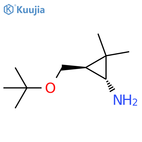 rac-(1R,3S)-3-(tert-butoxy)methyl-2,2-dimethylcyclopropan-1-amine structure
