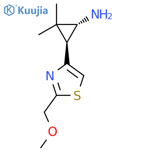 rac-(1R,3S)-3-2-(methoxymethyl)-1,3-thiazol-4-yl-2,2-dimethylcyclopropan-1-amine structure