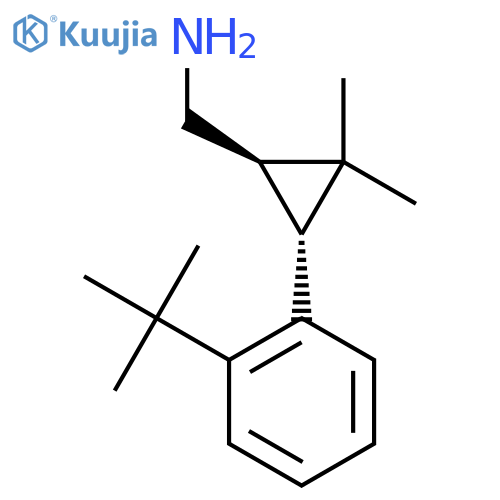 rac-(1R,3R)-3-(2-tert-butylphenyl)-2,2-dimethylcyclopropylmethanamine structure