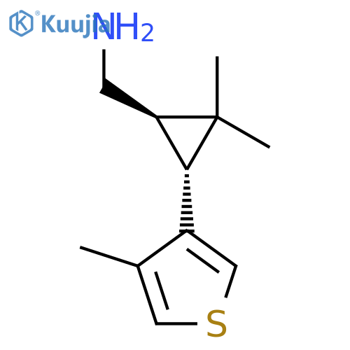 rac-(1R,3R)-2,2-dimethyl-3-(4-methylthiophen-3-yl)cyclopropylmethanamine structure