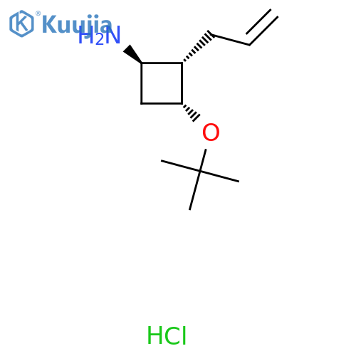 rac-(1R,2S,3R)-3-(tert-butoxy)-2-(prop-2-en-1-yl)cyclobutan-1-amine hydrochloride structure