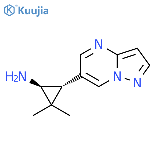 rac-(1R,3R)-2,2-dimethyl-3-{pyrazolo1,5-apyrimidin-6-yl}cyclopropan-1-amine structure
