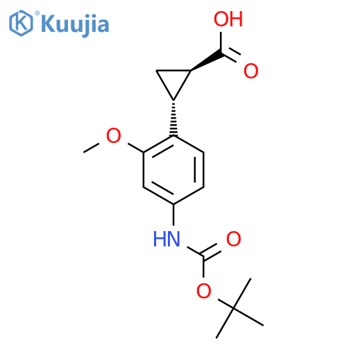 rac-(1R,2R)-2-(4-{(tert-butoxy)carbonylamino}-2-methoxyphenyl)cyclopropane-1-carboxylic acid structure
