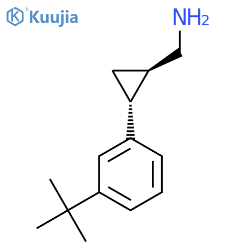 rac-(1R,2R)-2-(3-tert-butylphenyl)cyclopropylmethanamine structure