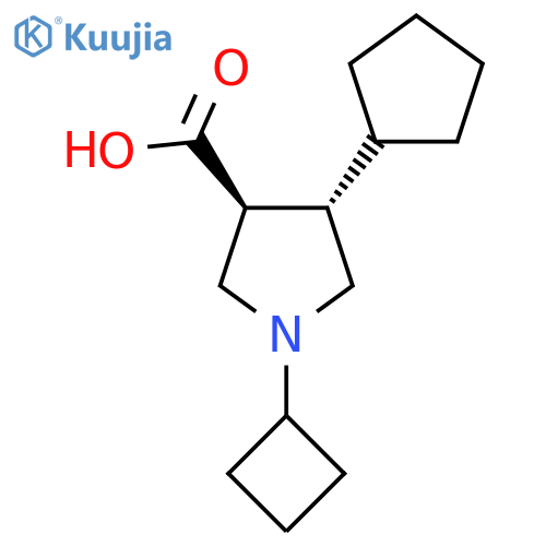 1-cyclobutyl-4-cyclopentylpyrrolidine-3-carboxylic acid structure